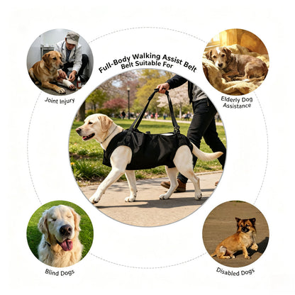 🐶Multi‑Way Pet Carrier Backpack for Small Dogs, Breathable Portable Travel Bag, Wearable as Backpack, Crossbody Sling or Hand‑held Tote